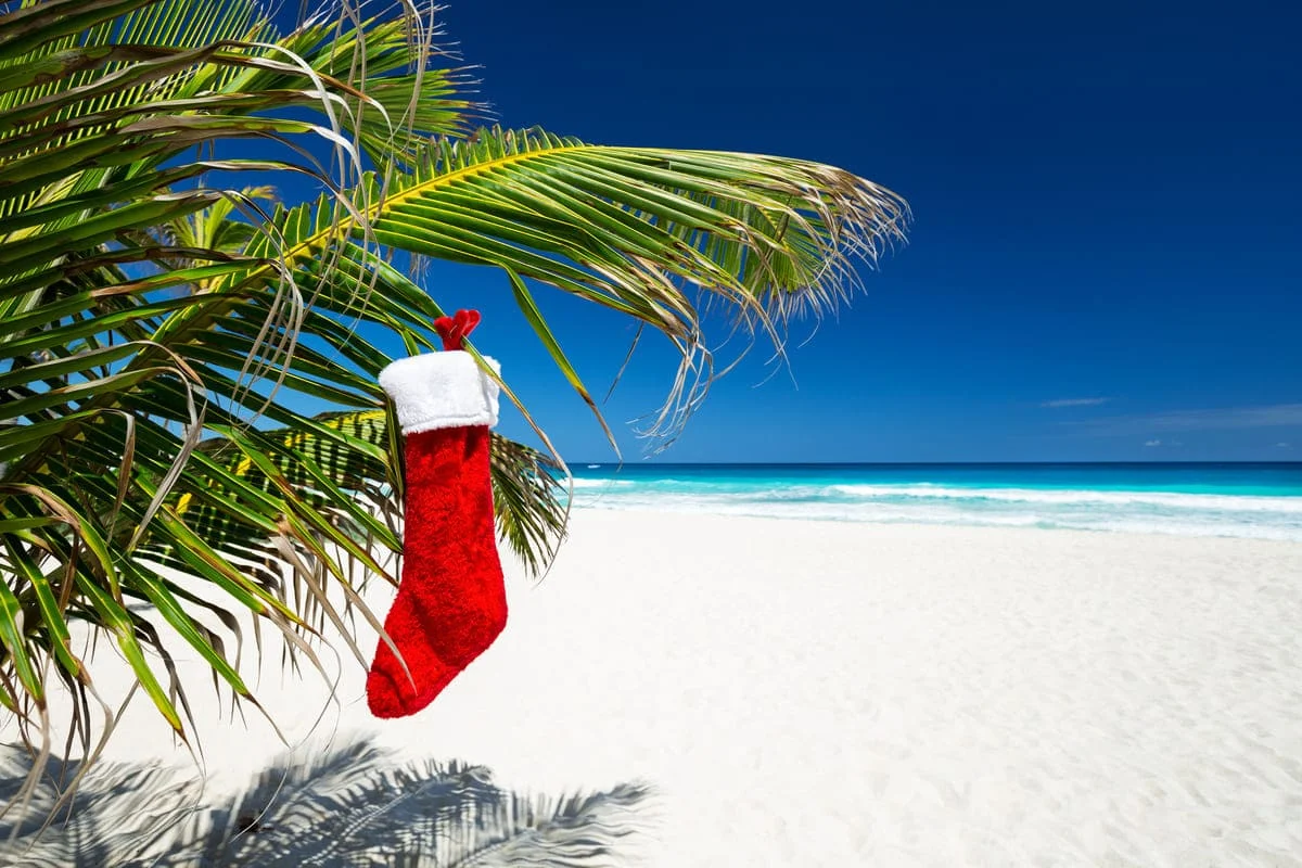 Christmas Specials Sailing Catamaran Charters