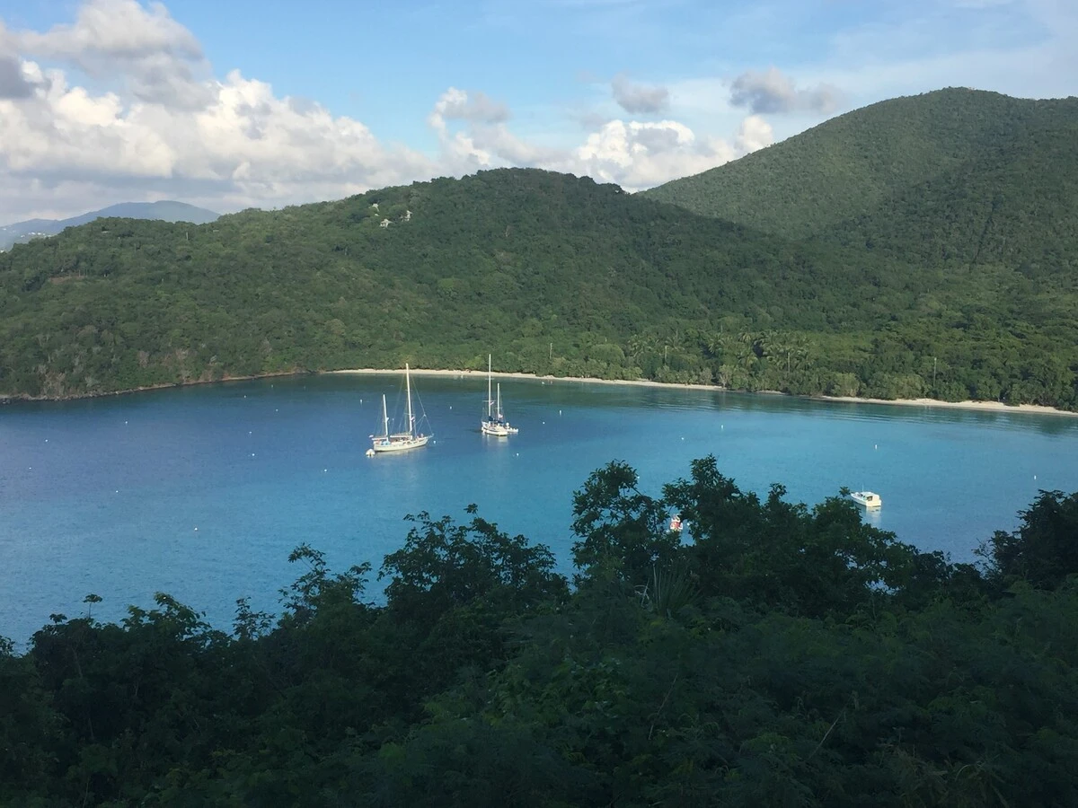 Virgin Islands National Park - St. John beach with lush backdrop