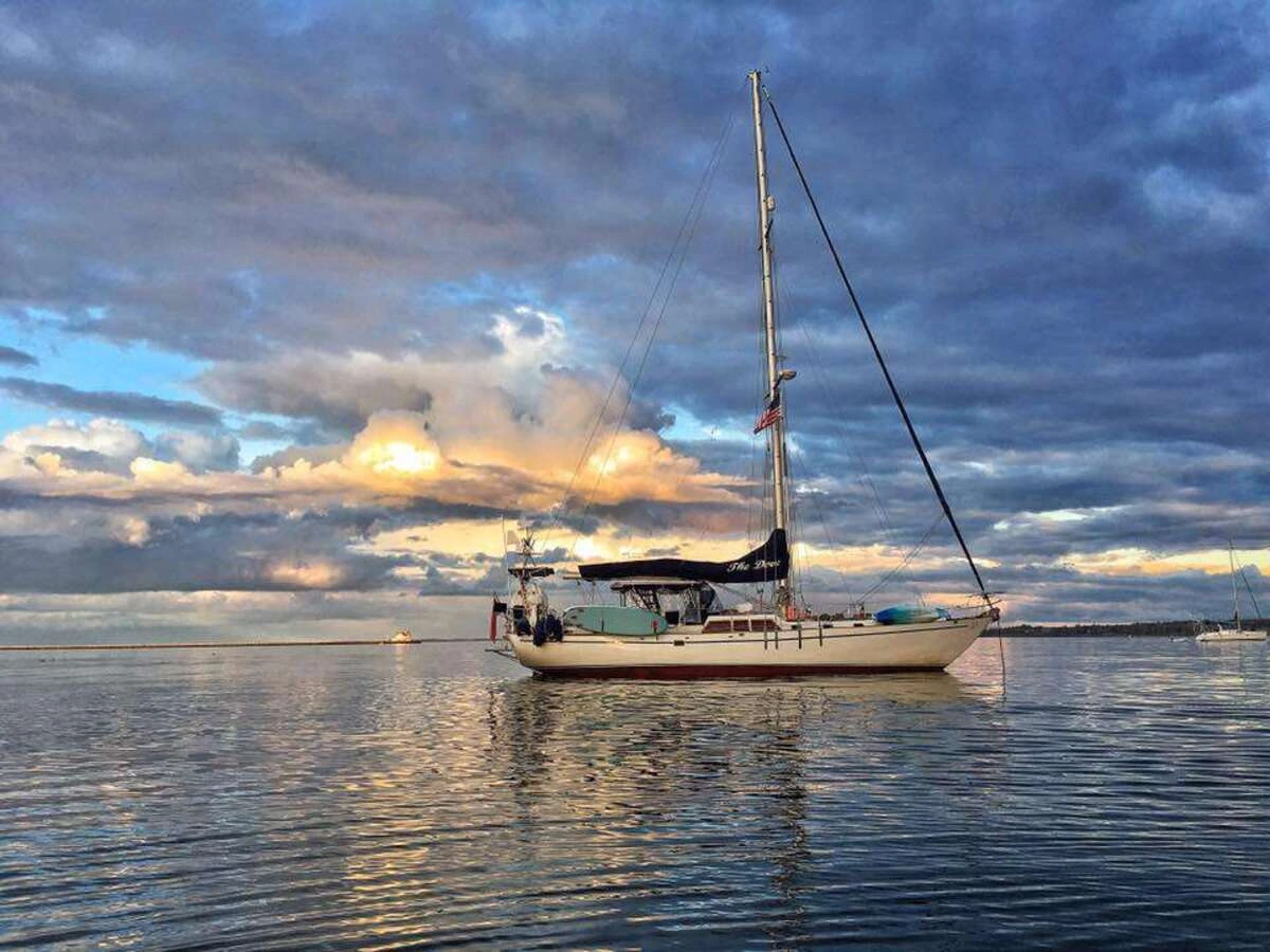 The Dove Sailboat Charter