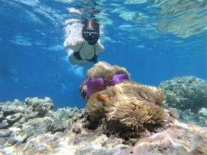 Snorkeling