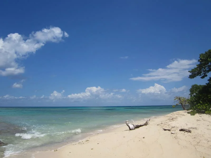 Turtle Beach, Buck Island