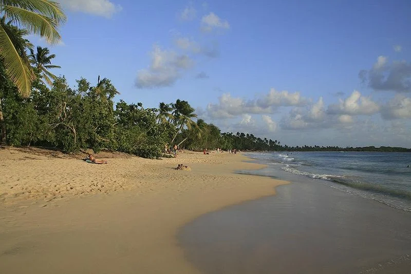 On your Martinique Boat Charter visit Les Salines Beach