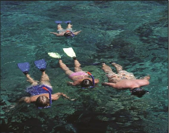 Snorkeling in the Grenadines