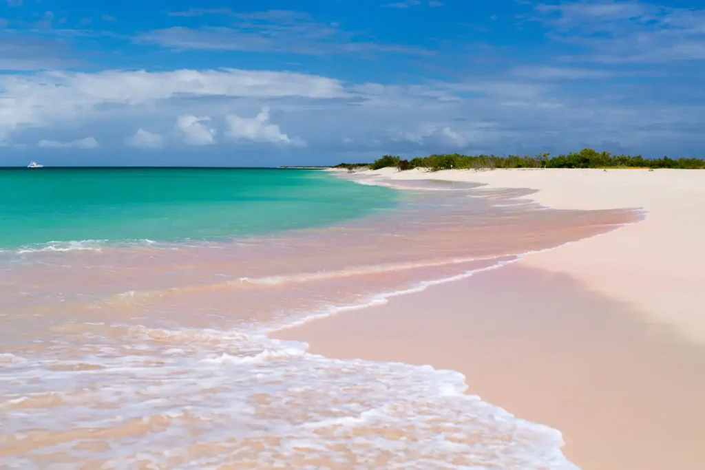 Barbuda Pink Sand Beach - ideal for swimming on a yacht vacation